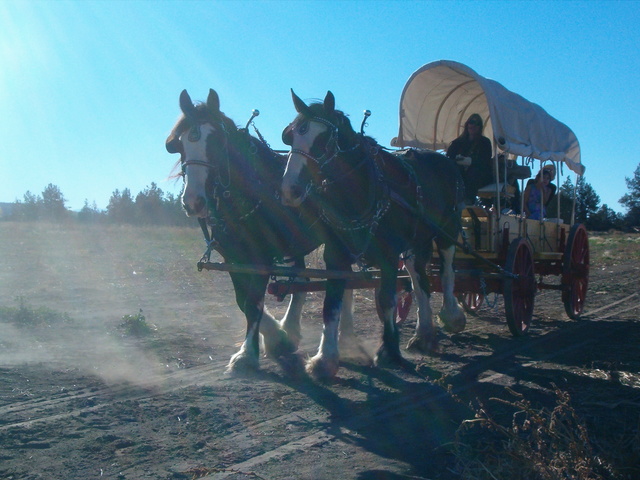 Covered Wagon Rides