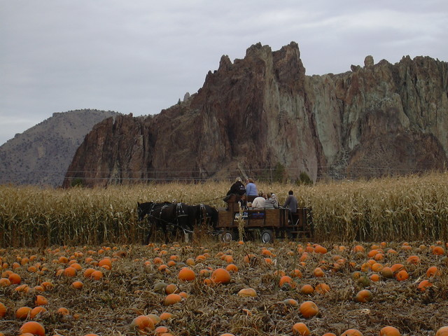 Custom Hayrides