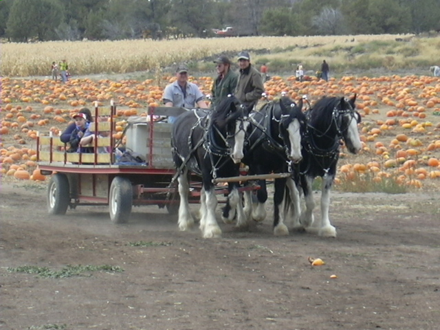 People mover for hayrides