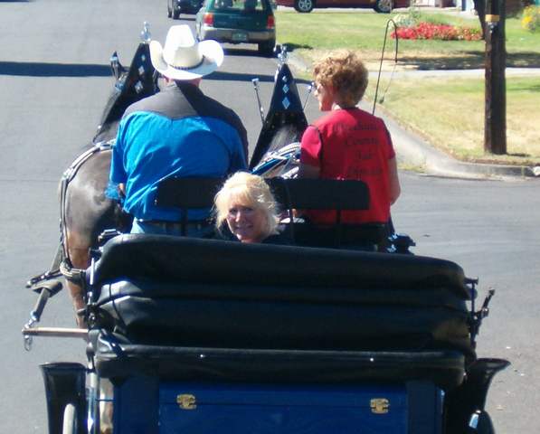 Vis a vis carriage for special events