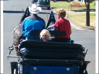 Vis a vis carriage for special events