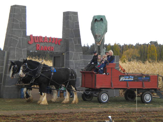 Hayrides at Central Oregon Pumpkin Company