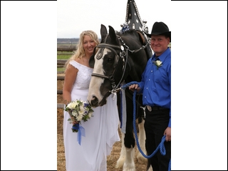Book a custom wedding package today!