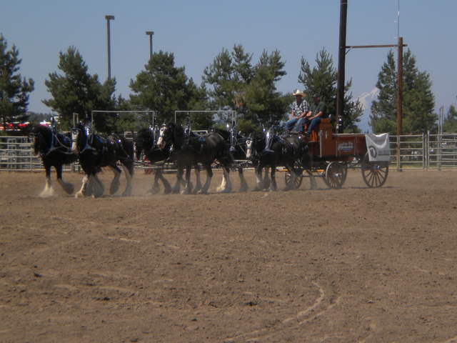 August 2010 Deschutes County
