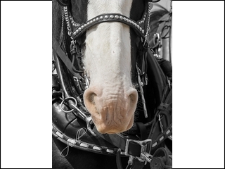 Justa cool picture by Judy Neill