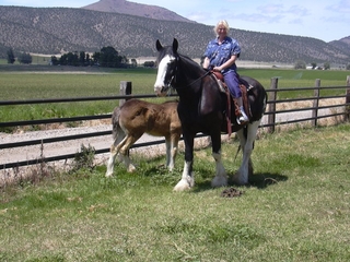 Connie & Sierra taking a ride