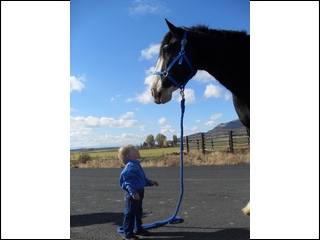 Repo & Stetson