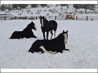 Snow time