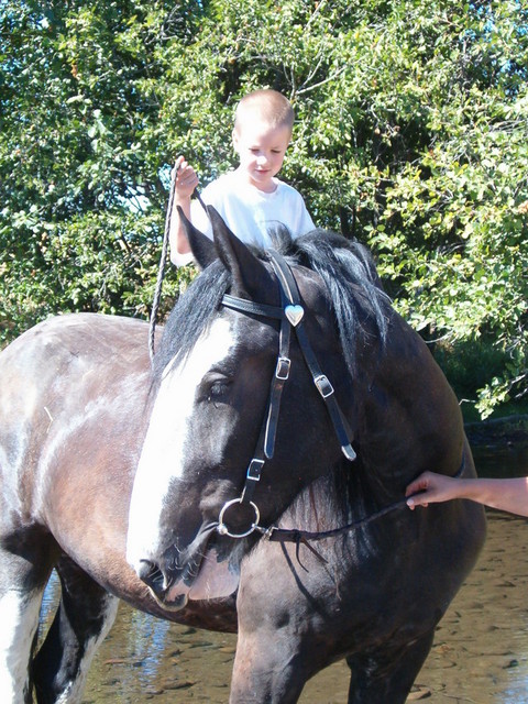 James on Daisy