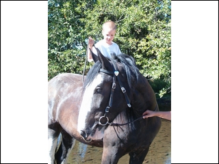 James on Daisy
