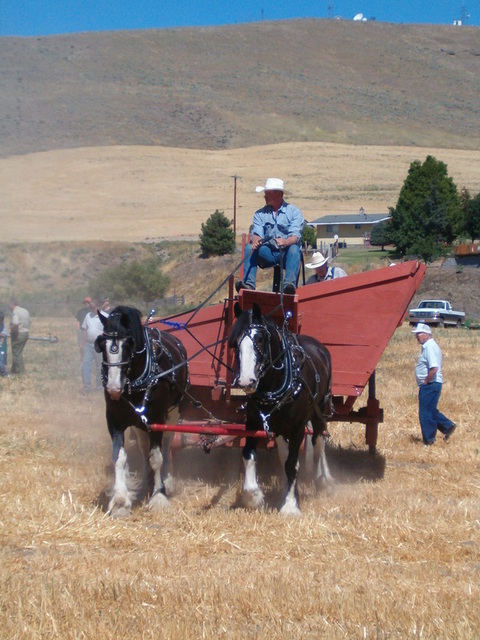 Dufer 2006