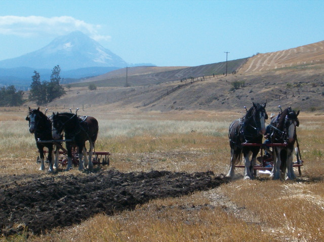 Dufer, Oregon