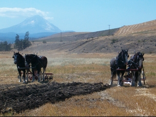 Dufer, Oregon