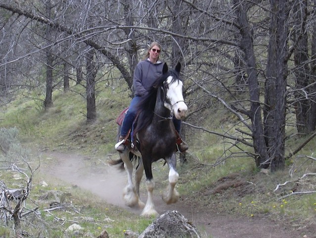 Candy &amp; Lakota enjoying a trail ride