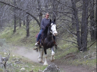 Candy & Lakota enjoying a trail ride