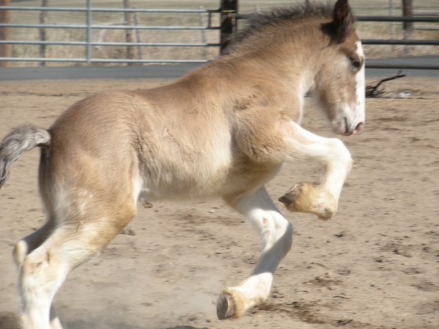 Nitro kickin it up a gear!