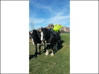 Hayrides