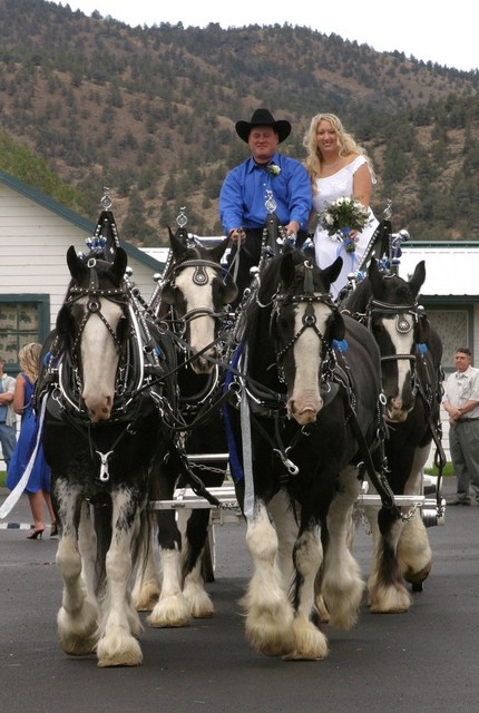 Just Hitched