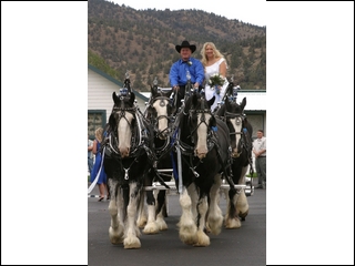 Just Hitched